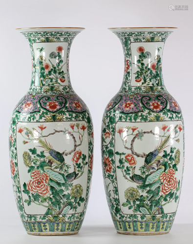 China pair of famille verte porcelain vase 19th bird