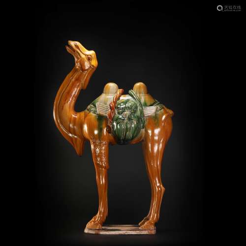 Tri-Colored Camel from Tang