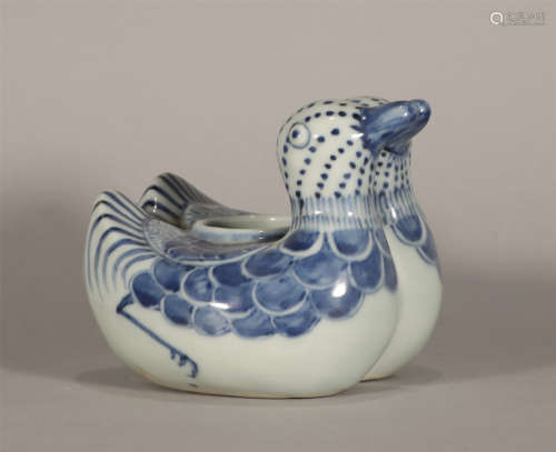 Blue and White Duck Shaped Washer