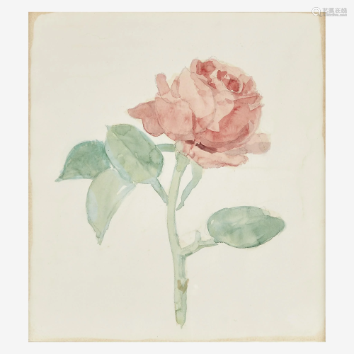 Albert York (American, 1928–2009) Pink Rose on a