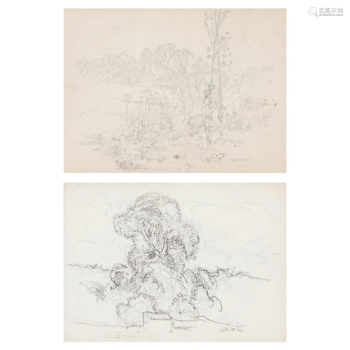 Grp: 2 Walter Griffin Landscape Drawings