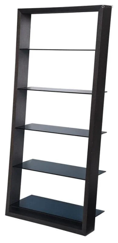 Modern Glass and Black Stained Bookshelf
