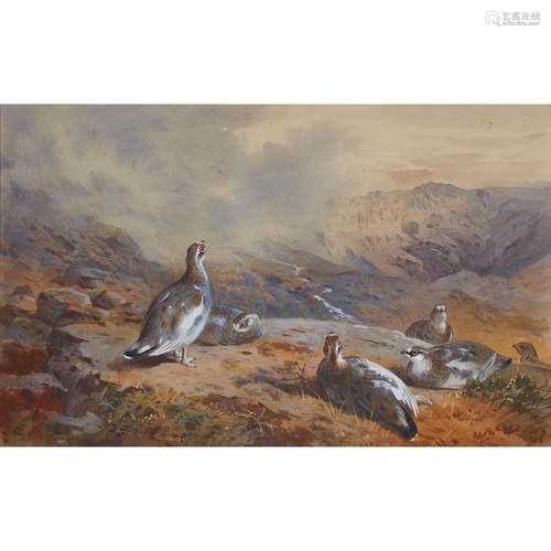 ARCHIBALD THORBURN (SCOTTISH 1860-1935) PTARMIGAN…