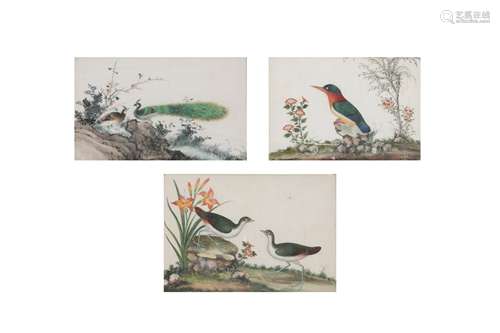 THREE CHINESE PITH PAPER PAINTINGS OF BIRDS.