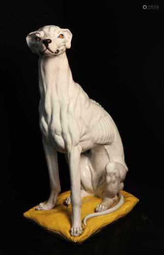 White greyhound