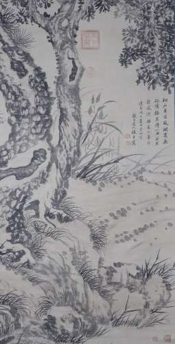 Zhang Cen Pine