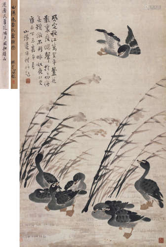 边寿民 丁未（1727）年作 芦雁图 立轴 设色纸本