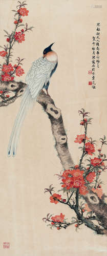张韶石 癸卯（1963）年作 桃花寿带 镜片 设色纸本