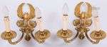 A set of (2) cast brass Charles X-style appliques with swans...