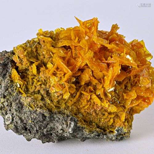 WULFENITE MIMETITE SAN FRANCISCO MINE N MEXICO (14cm)