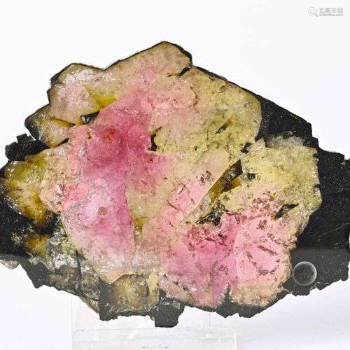 TRES BEAU SCIAGE RUBELLITE ZIMBAWE (13cm)