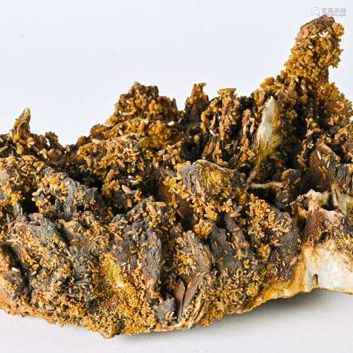 TRES GROSSE PYROMORPHITE BARYTINE LES FARGES CORREZE (25cm)