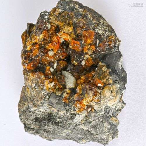 BLENDE MIEL LA MURE ISERE (10cm)