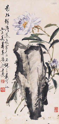 黄鼎萍芍药