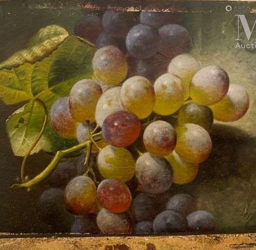 Charles STUART (1854 - 1904) Grappe de raisin sur un entable...