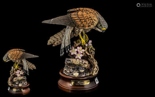 Royal Doulton Ltd Edition Kestrel (Falco Tinnuculus) DA 144 ...