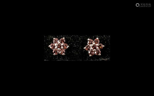 Rose Garnet Cluster Stud Earrings, each earring comprising s...