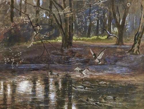 English School, early 20th c - Ducks on a Woodland Stream, i...