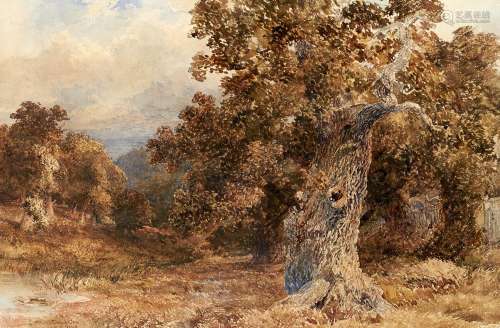 David Cox the Elder, OWS (1783-1859) - A Venerable Oak Tree,...