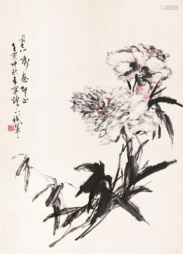 花卉 于希宁