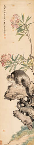 赵叔孺（1874～1945） 猫趣 设色纸本 平轴