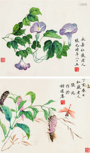 张 光（1878～1970） 花虫双挖 设色纸本 立轴