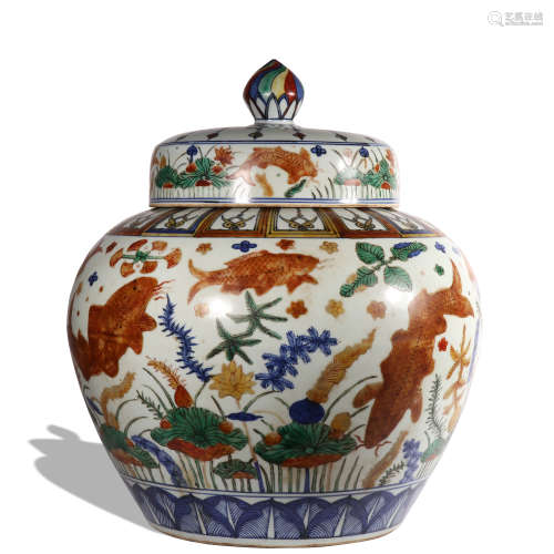 A Wu cai 'fish' jar and cover
