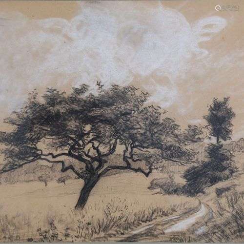 Émile Boulard (1863-1943), Arbre, fusain, sbg, 23X29