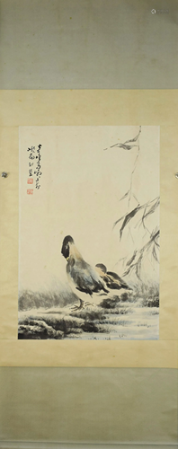 A Chinese scroll, Gao Qifeng Teal Duck