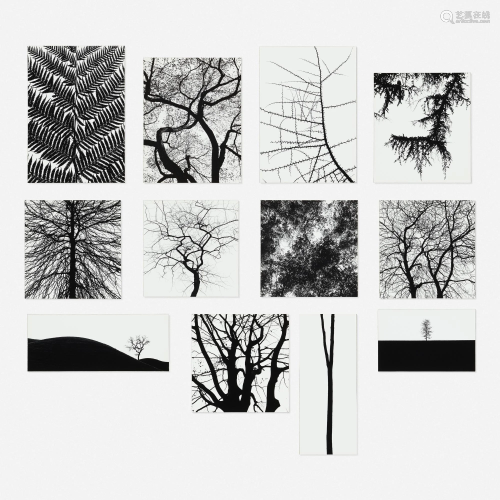 George A. Tice, Trees Portfolio