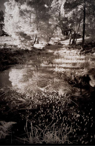 丹妮尔· 爱德华兹 2018 小溪谷 铂钯印相工艺/Platinum Print