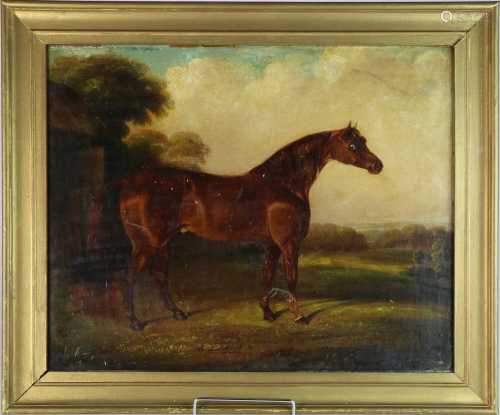 Circle of George Morland (1763-1804) Chestnut Horse in a Fie...