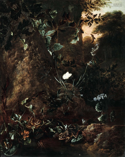 Otto Marseus van Schrieck (Nimega 1619 - Amsterdam