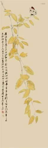 张大千（1899-1983）    梦蝶