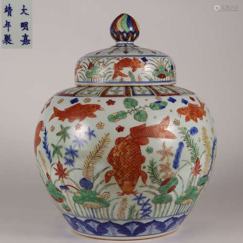 JIAJING MARK WUCAI GLAZE FISHI PATTERN JAR