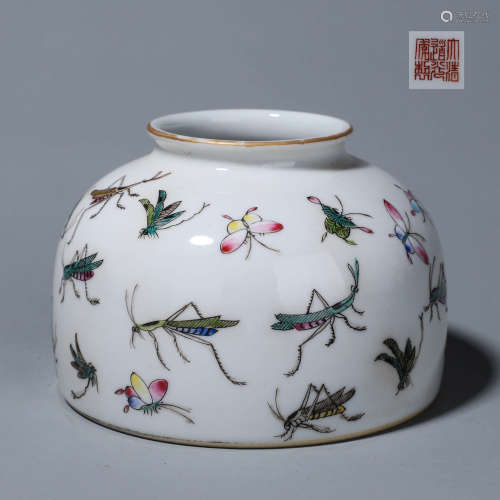 A famille rose insect porcelain water pot