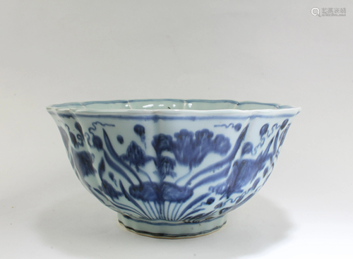 Chinese Blue & White Porcelain Bowl