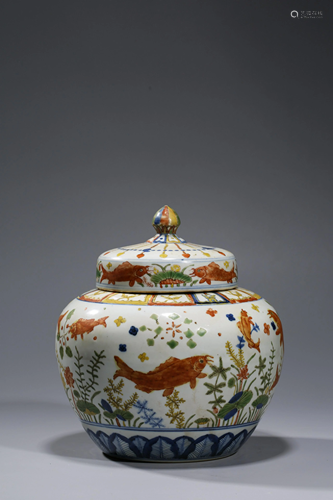 MING JIAJING -Style WUCAI CARP MOTIF PORCELAIN JAR