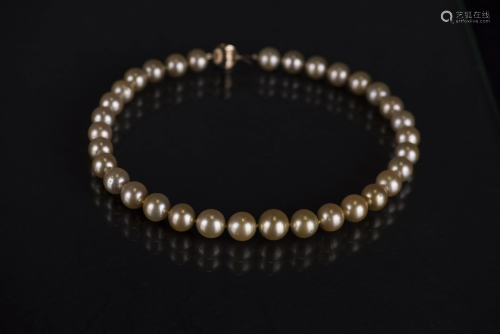 A 14KT GOLDEN SOUTH SEA PEARL NECKLACE, WITH AIGL