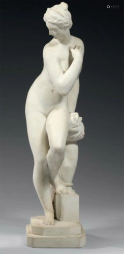 A Marble Statue of Venus