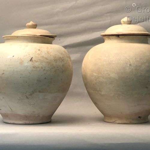 Chine, XXe siècle Deux potiches couvertes en céramique émail...