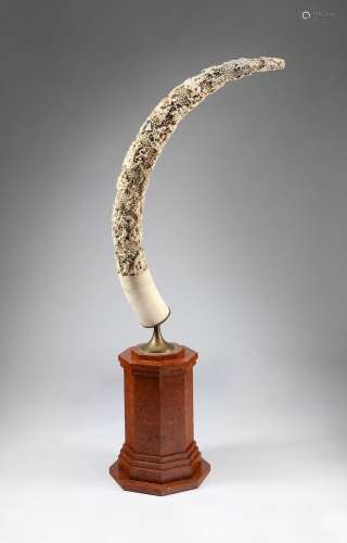 Arte Sud-Est Asiatico An impressive ivory tusk all-round fin...