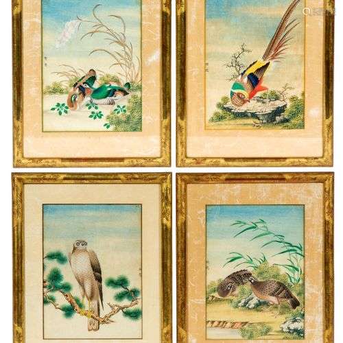 Four Chinese pith paper paintings of birds