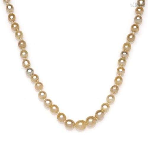 An antique natural pearl necklace