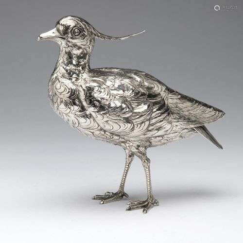 A large silver lapwing
