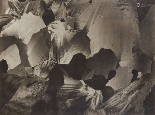 Laure Albin GUILLOT (1879-1962) Micrographie [strates], c. 1...