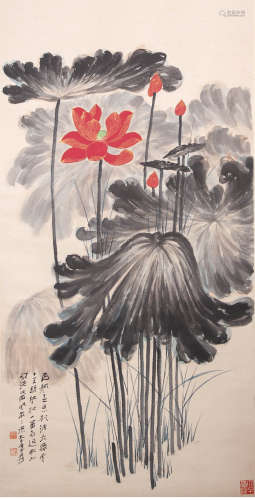 A chinese lotus group painting paper scroll, zhang daqian