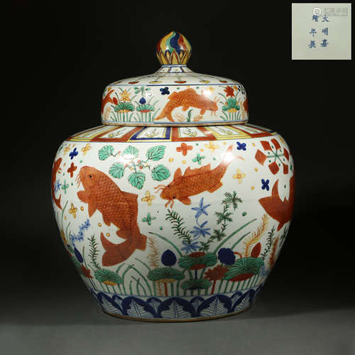 Large pot with colorful fish pattern, Ming Dynasty, China