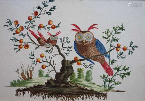 L Champquin (fl.c1800)Owl and owlets in a stunted fruit tree...