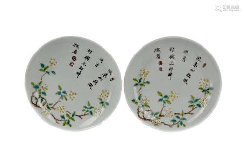 A PAIR OF LATE 19TH CENTURY CHINESE SAUCER DISHES